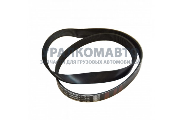 Ремень генератора дв.  8PK1443 