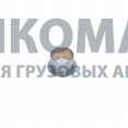 Втулка рычага (маятника) рулевого 8х4 F3000